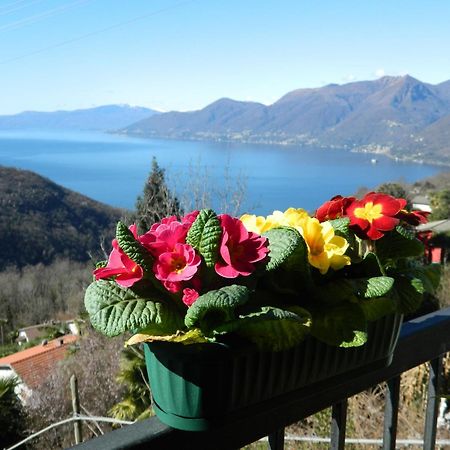 Lago Maggiore Holiday House, Lake View, Vignone Dumenza Extérieur photo